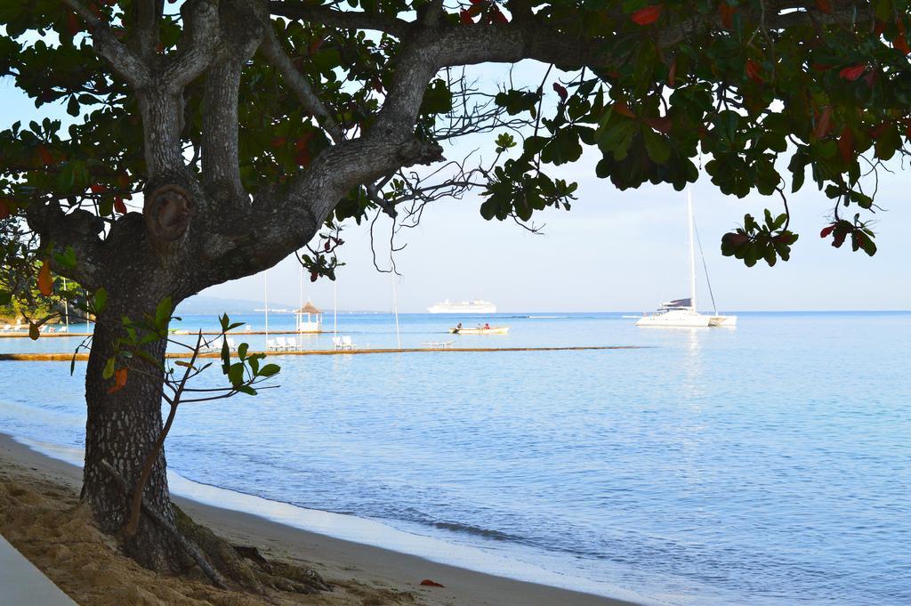 Kaz Kreol Beach Hotel Ocho Rios Exteriér fotografie