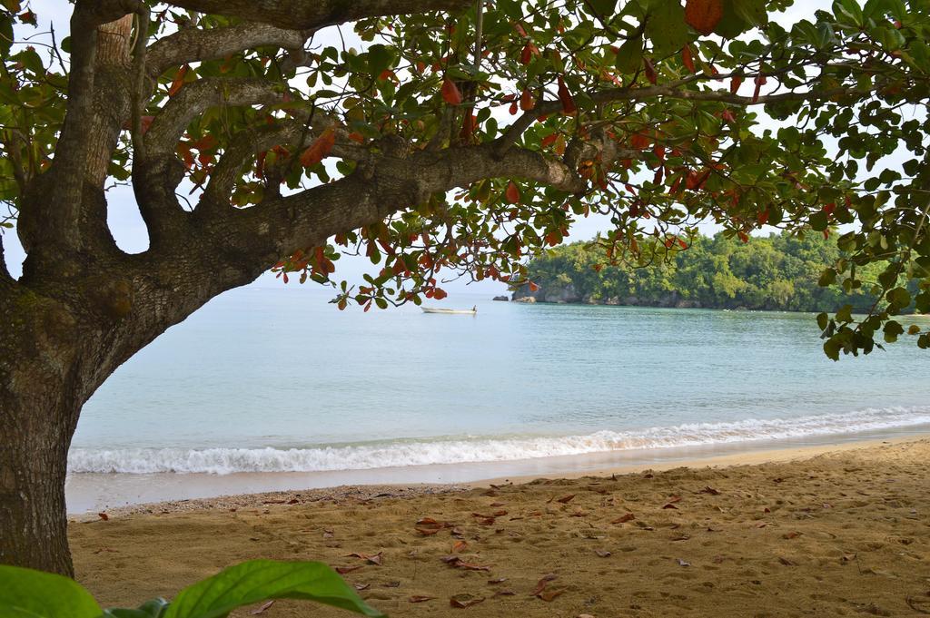 Kaz Kreol Beach Hotel Ocho Rios Exteriér fotografie